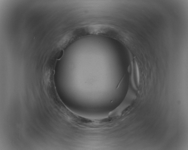 X0000082200219200702021852