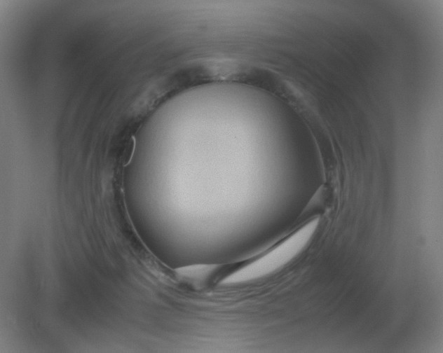 X0000082200221200702021852