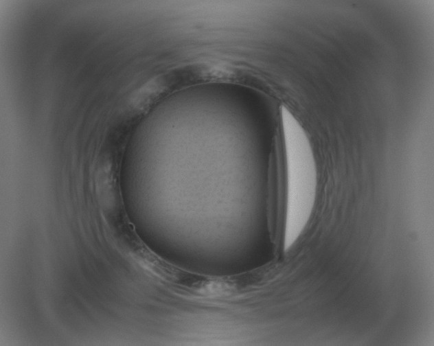 X0000082200223200702021852