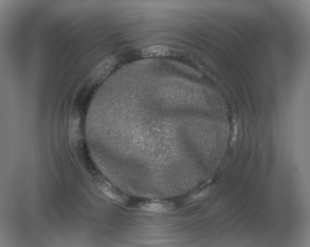 X0000082200224200702021852