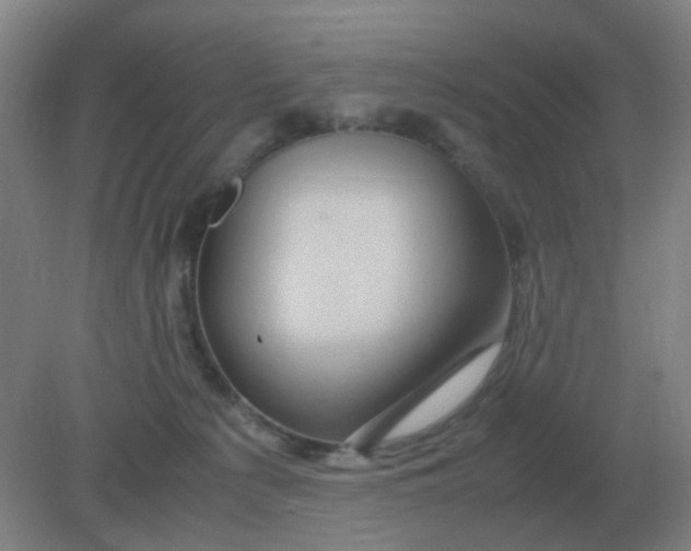 X0000082200225200702021852