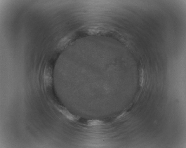 X0000082200226200702021852