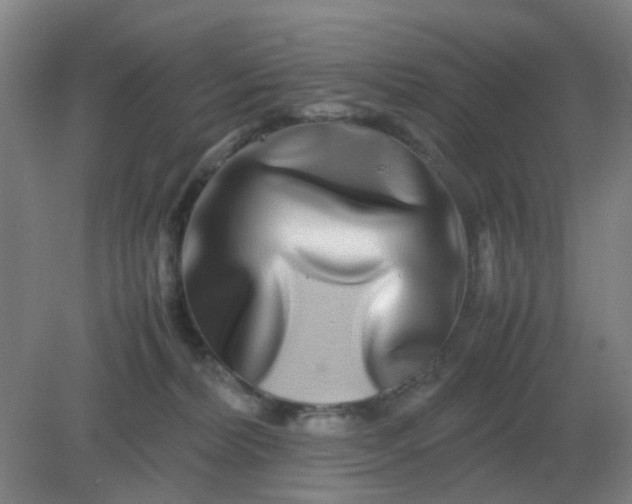 X0000082200228200702021852