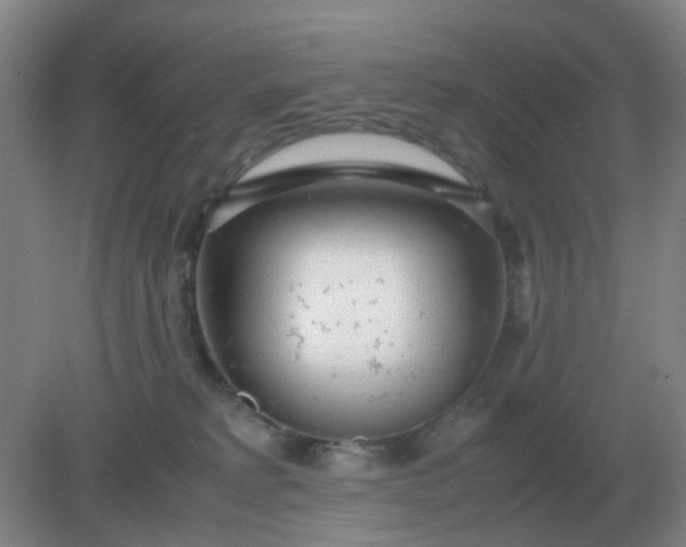 X0000082200229200702021852