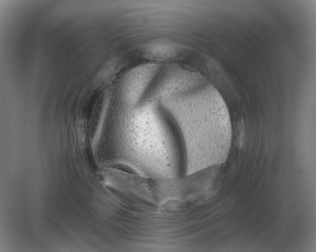 X0000082200232200702021852