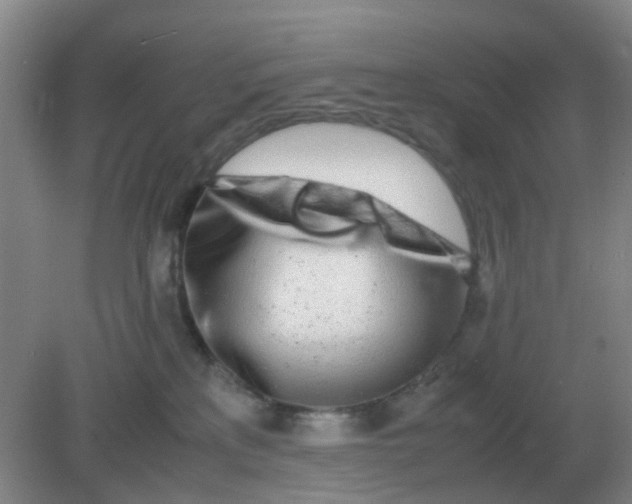 X0000082200233200702021852