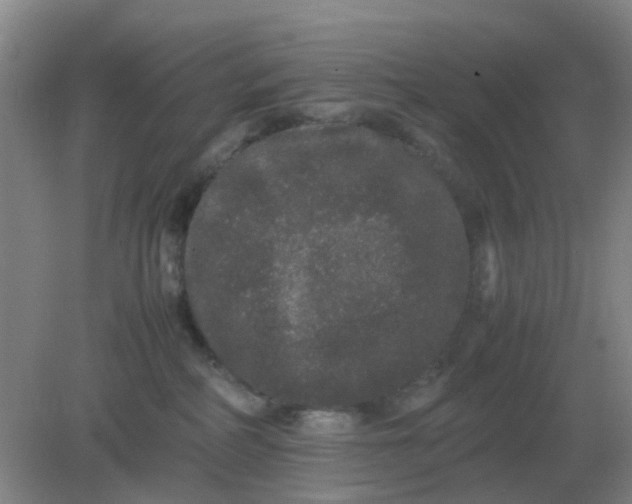 X0000082200234200702021852