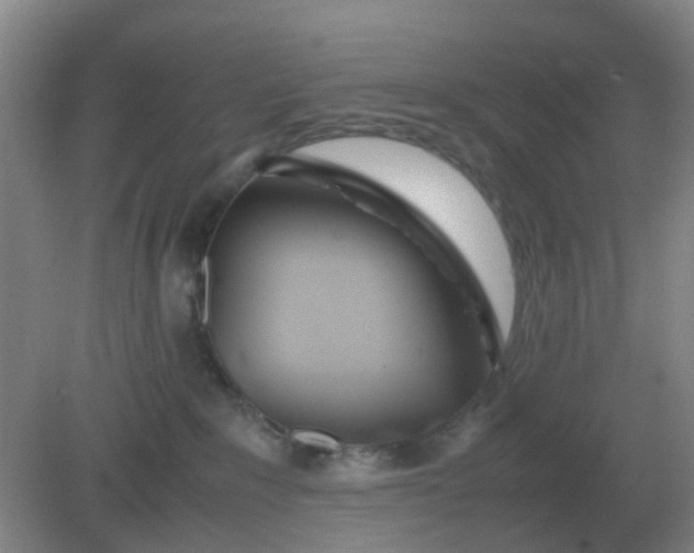 X0000082200235200702021852