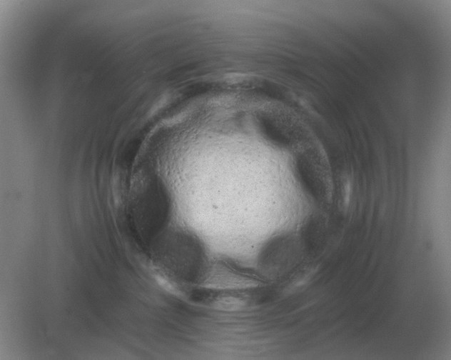 X0000082200236200702021852