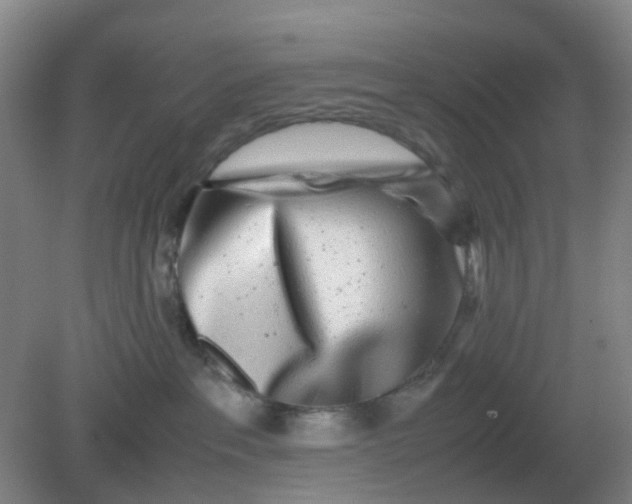 X0000082200237200702021852