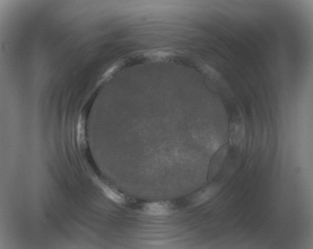 X0000082200238200702021852