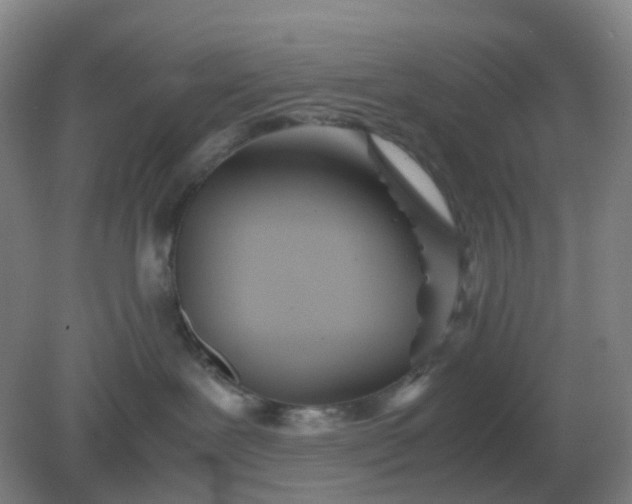 X0000082200239200702021852