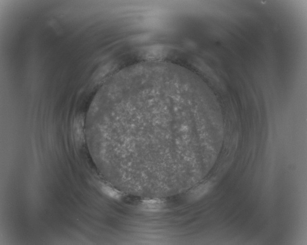 X0000082200240200702021852