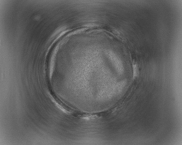 X0000082200243200702021851