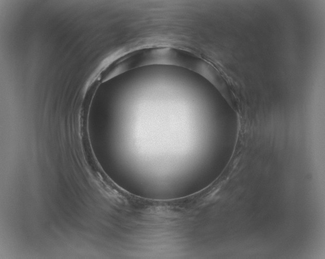 X0000082200244200702021851