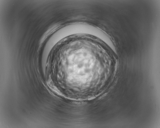 X0000082200245200702021851