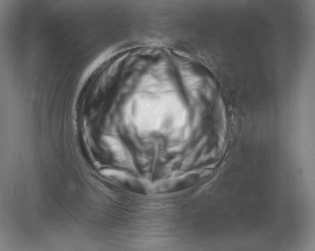 X0000082200246200702021851