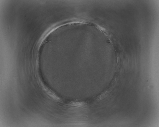 X0000082200247200702021851