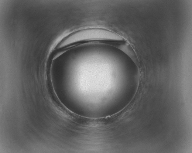 X0000082200248200702021851