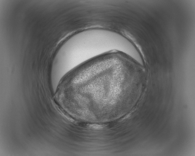 X0000082200249200702021851