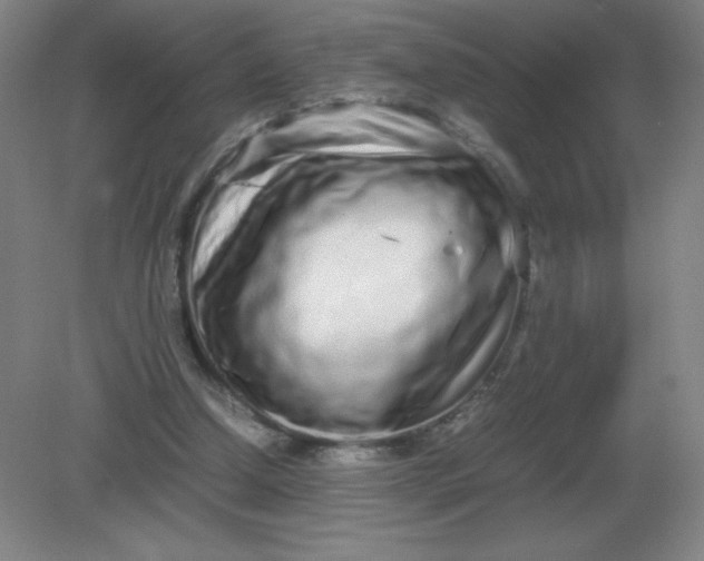 X0000082200250200702021851