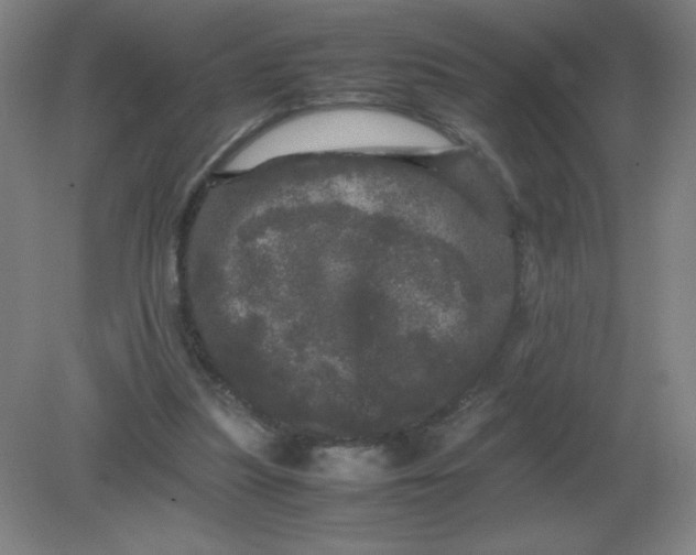 X0000082200251200702021851