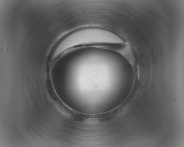 X0000082200252200702021851