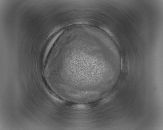 X0000082200253200702021851