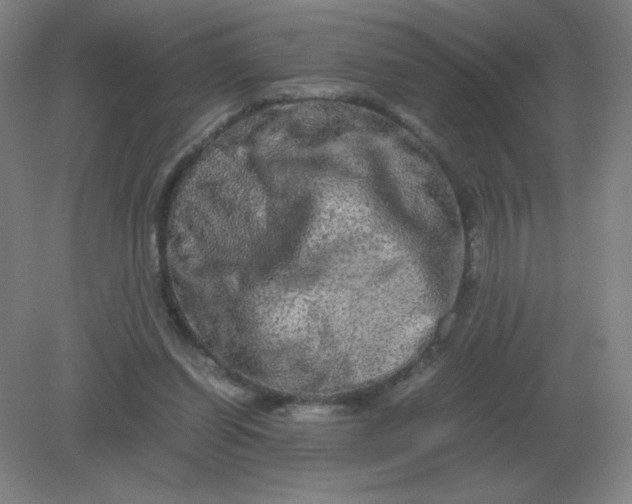 X0000082200254200702021851