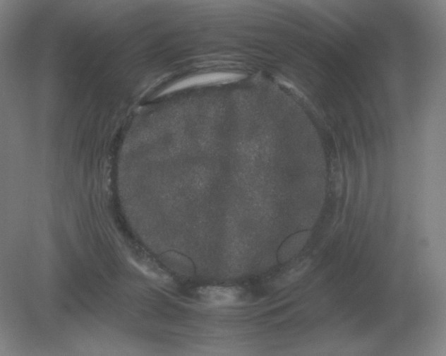 X0000082200255200702021851