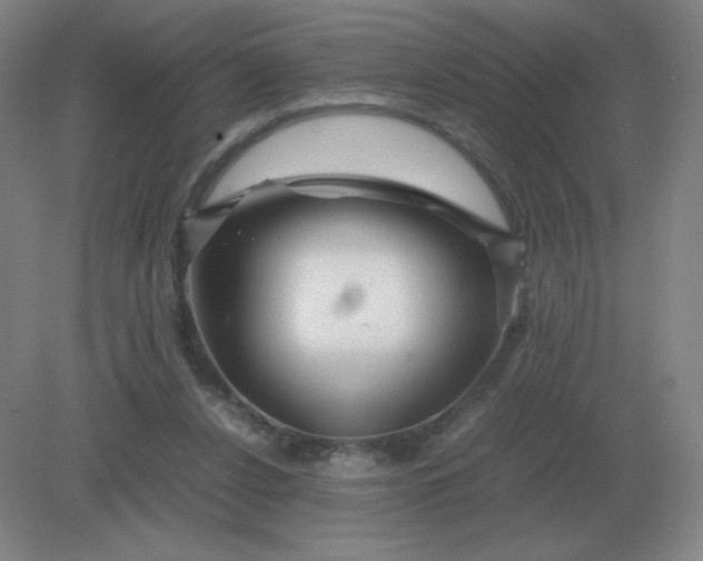 X0000082200256200702021851