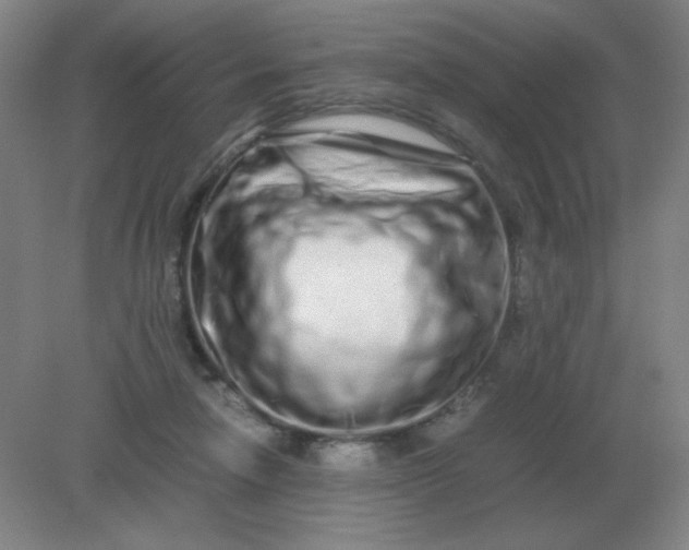 X0000082200258200702021852