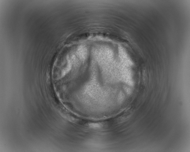 X0000082200259200702021852