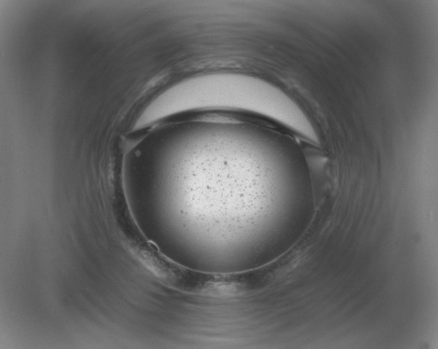 X0000082200260200702021852