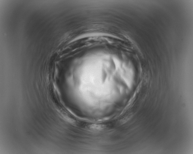 X0000082200261200702021852