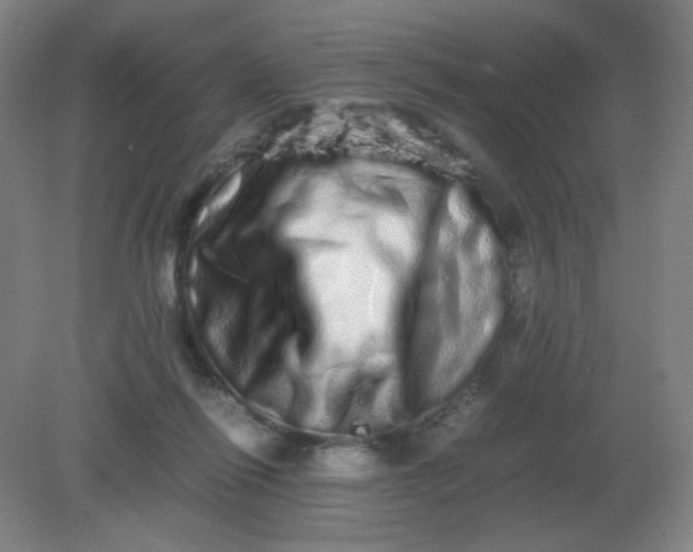 X0000082200262200702021852