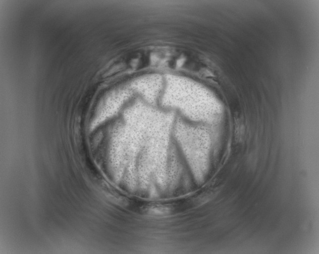 X0000082200263200702021852