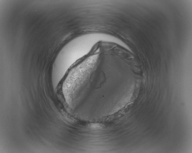 X0000082200264200702021852