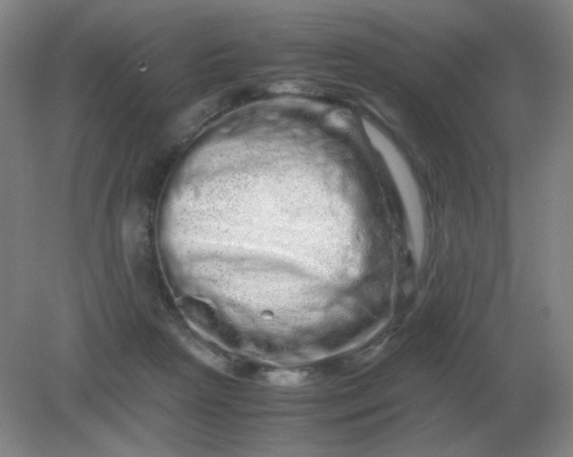 X0000082200265200702021852