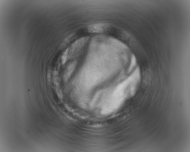 X0000082200267200702021852