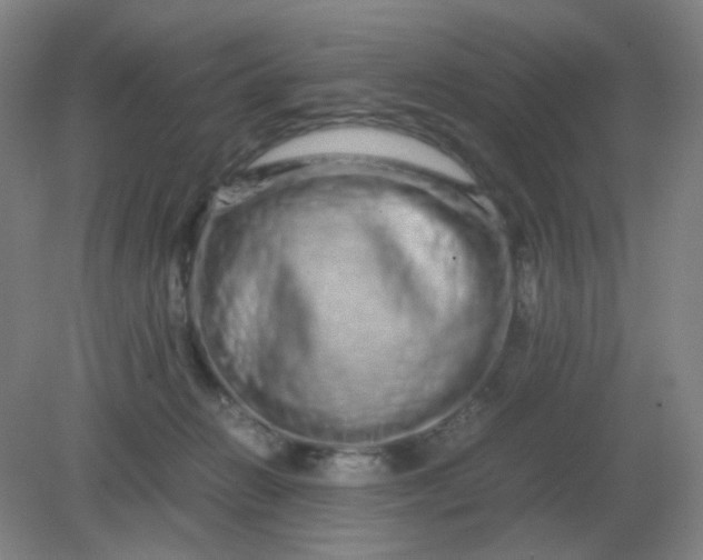 X0000082200270200702021852