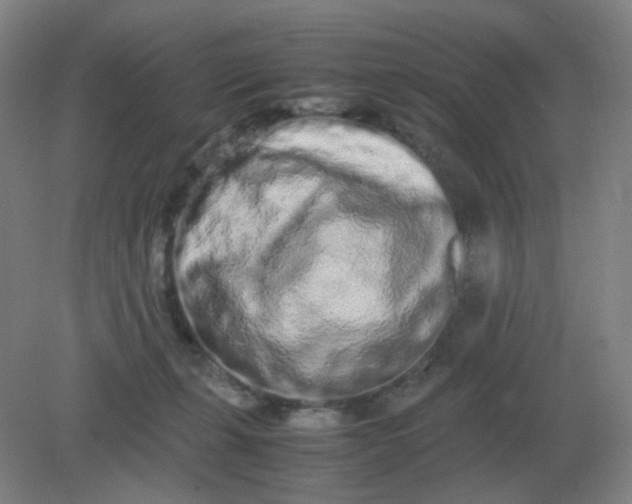 X0000082200271200702021852