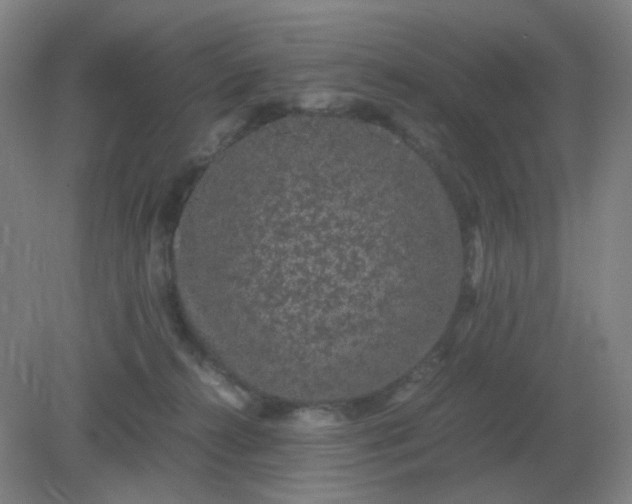 X0000082200272200702021852