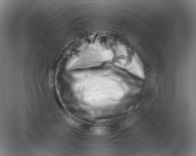 X0000082200273200702021852