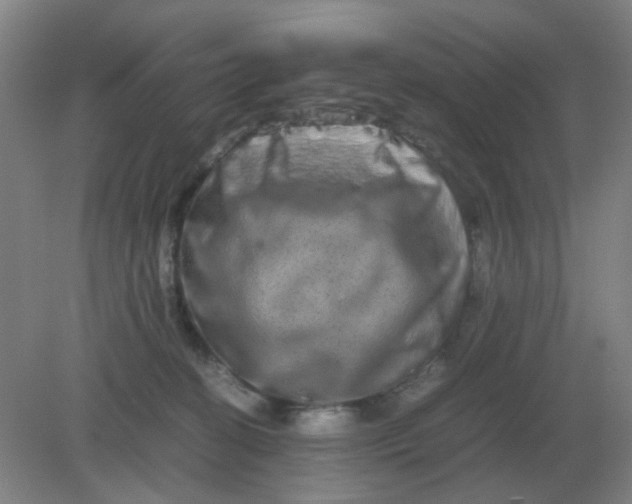 X0000082200274200702021852