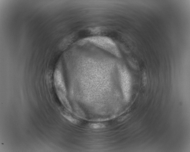 X0000082200275200702021852