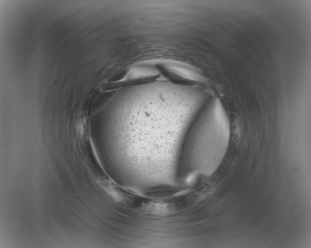 X0000082200276200702021852