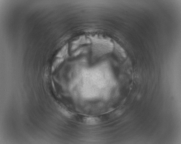 X0000082200277200702021852