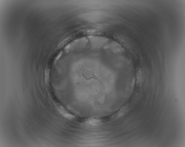 X0000082200278200702021852