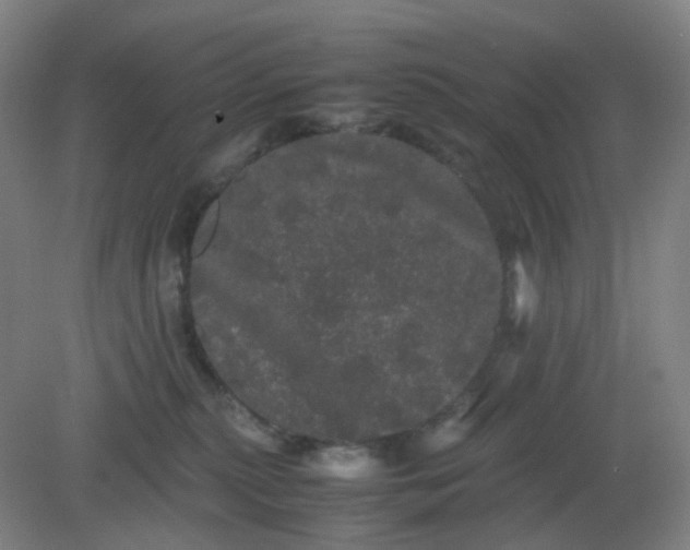 X0000082200279200702021852